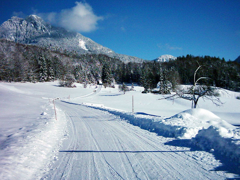 Hotel Seehotel Schlick