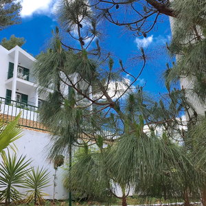 Hotel The Desmais cazare Menorca