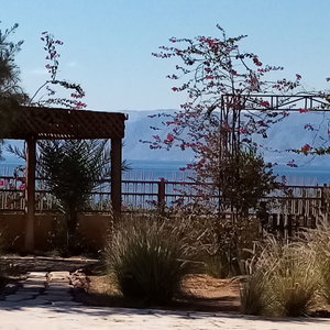Hotel Southern Star Club cazare Aqaba
