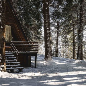 Hotel Yagoda & Malina Villas cazare Borovets