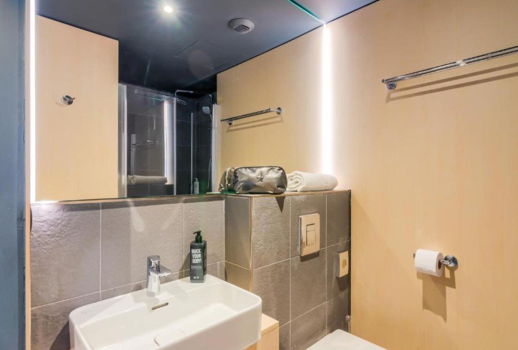 Ibis Timisoara City Center