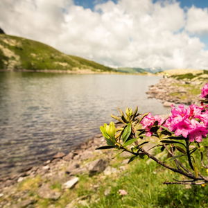 Hotel Ski Lodge Reineke cazare Bad Gastein