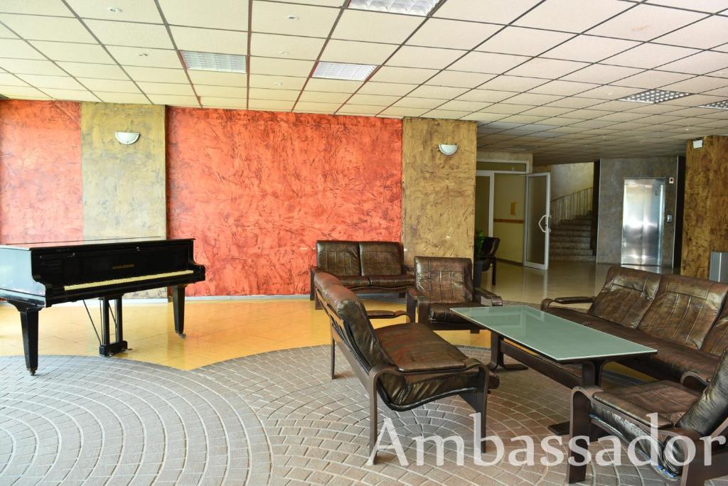 Ambasador