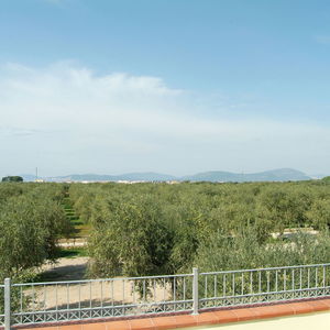 Sejur Vessus vacanta Alghero