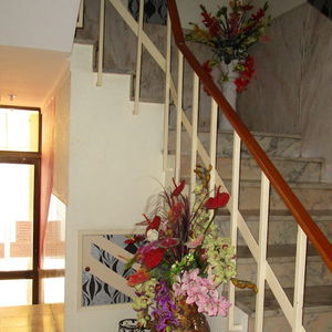 Sejur Residencial Pimenta vacanta Portimao