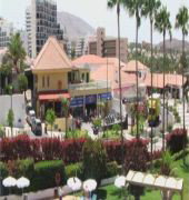 Villa Las Flores