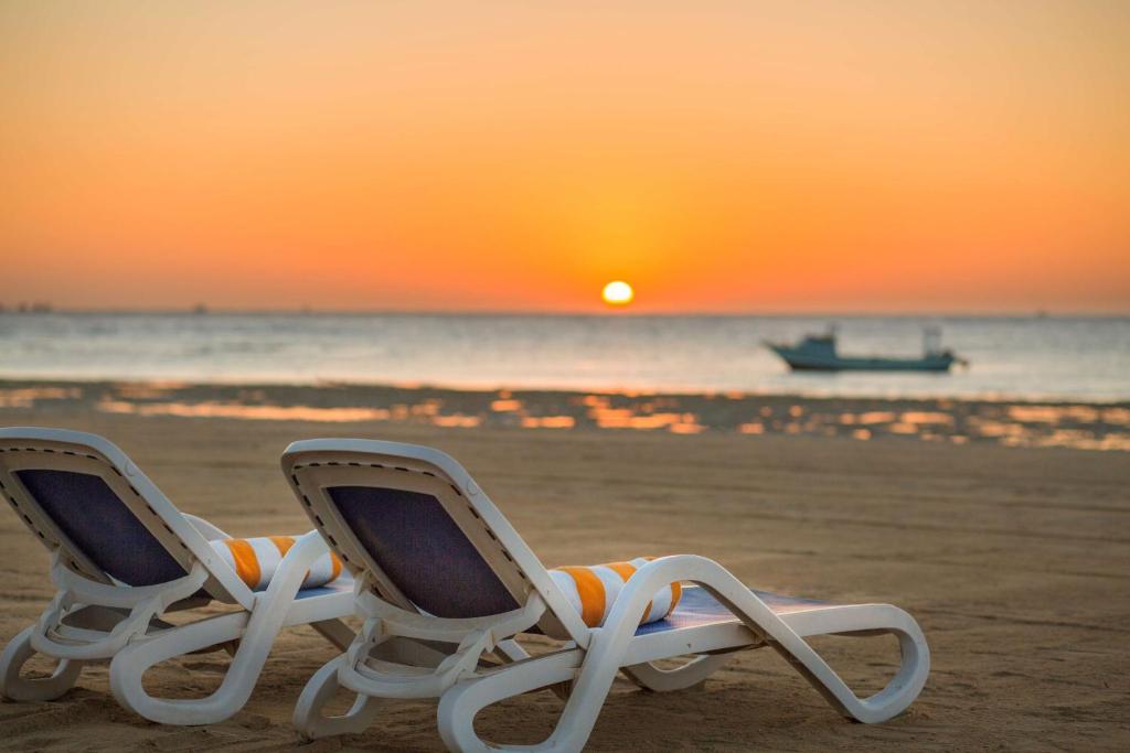 Hilton Nubian