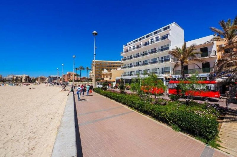 Sauló By Puro