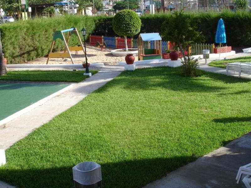 Los Ficus