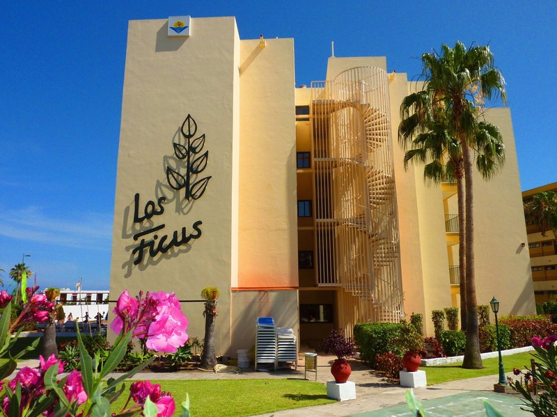 Los Ficus
