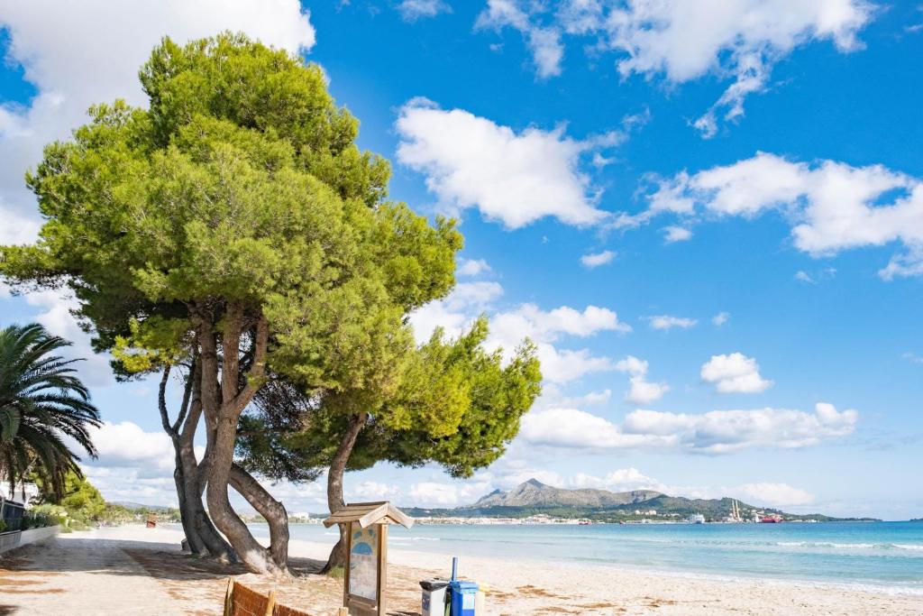 dal travel Eix Lagotel Holiday Resort (Ex.eix Lagotel)