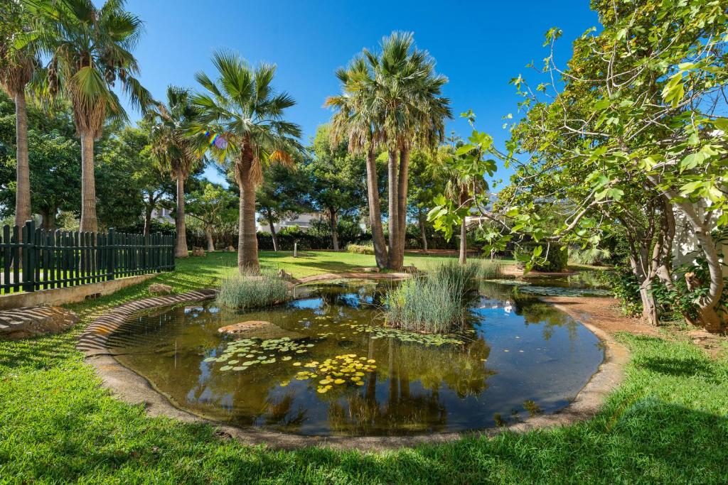 dal travel Hipotels Marfil Playa