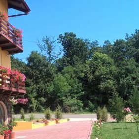 Hotel Vila Allegra Guesthouse cazare Baile Felix