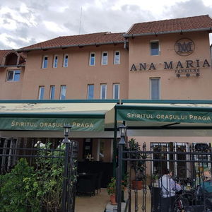 Hotel Pensiunea Ana Maria cazare Baile Felix