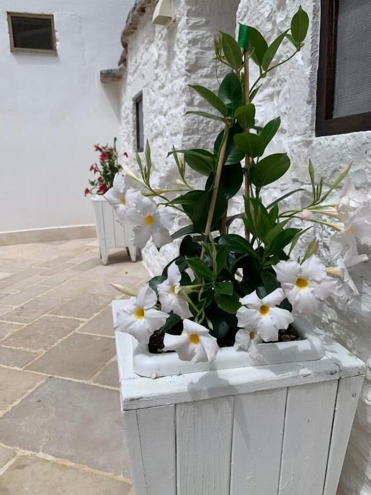 Trulli Family