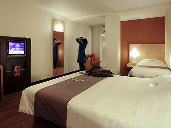 Ibis Braga