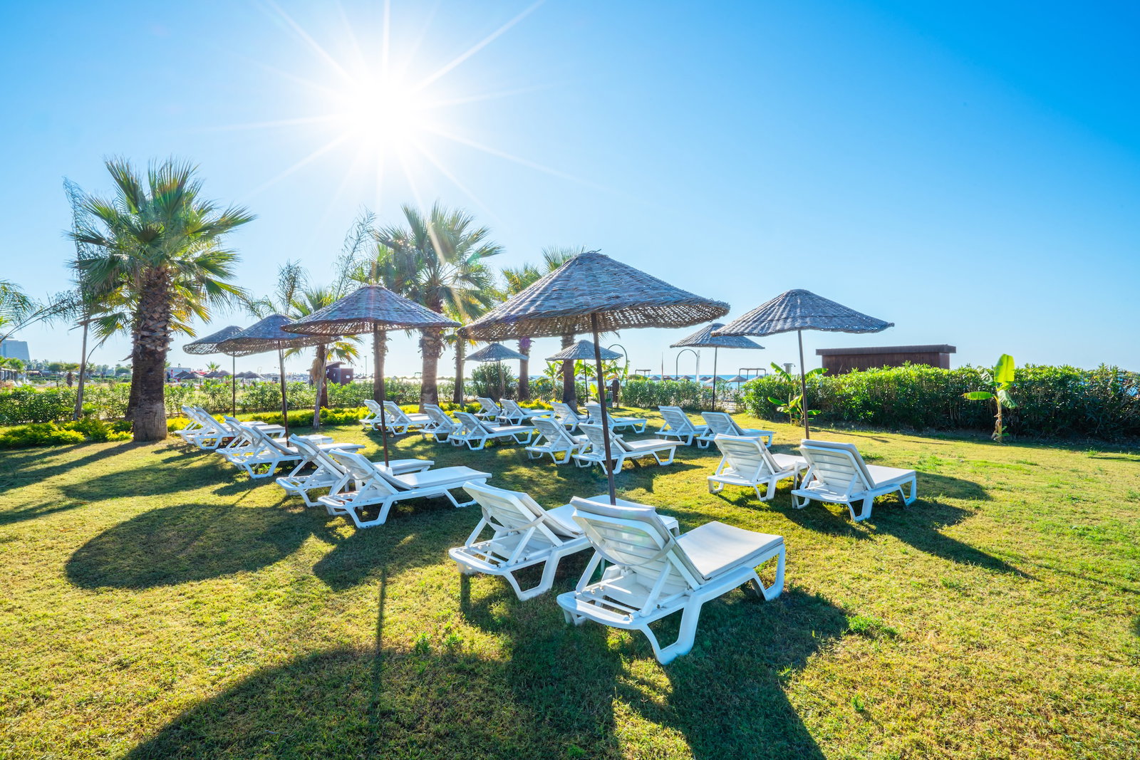 SY HOTELS BOUTIQUE LUXURY