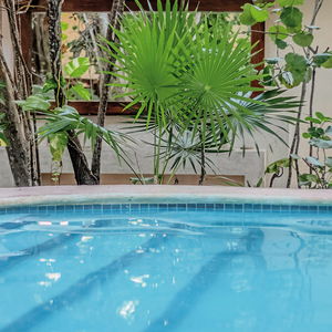 Hotel Hotel Casa Barbara cazare Isla Holbox