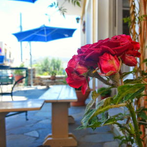 Hotel Aegina Hotel cazare Aegina