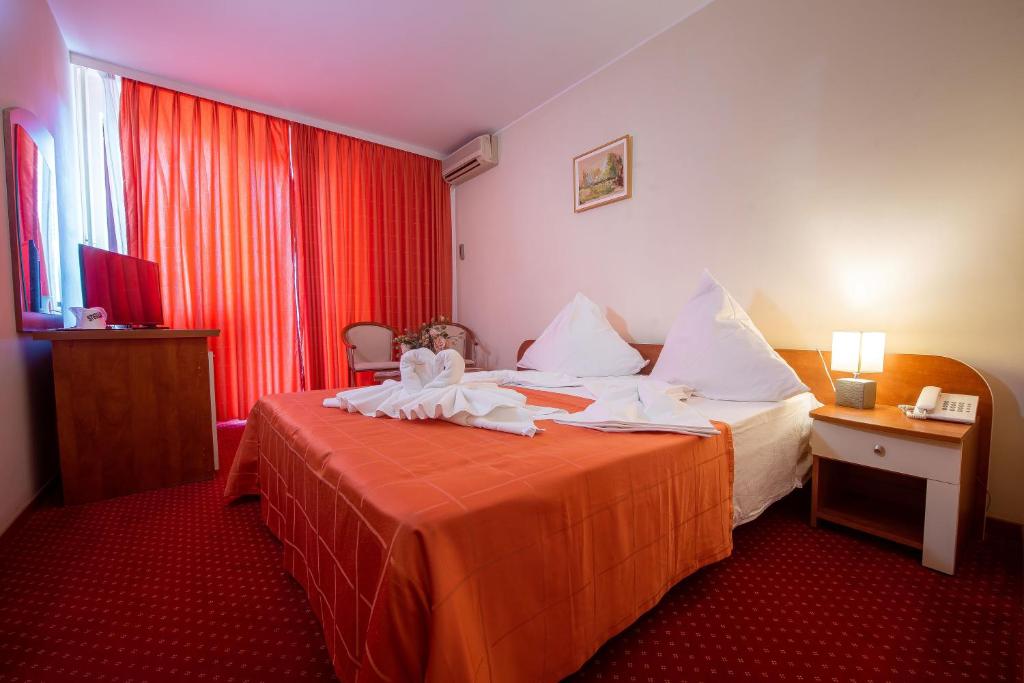 Hotel Doina