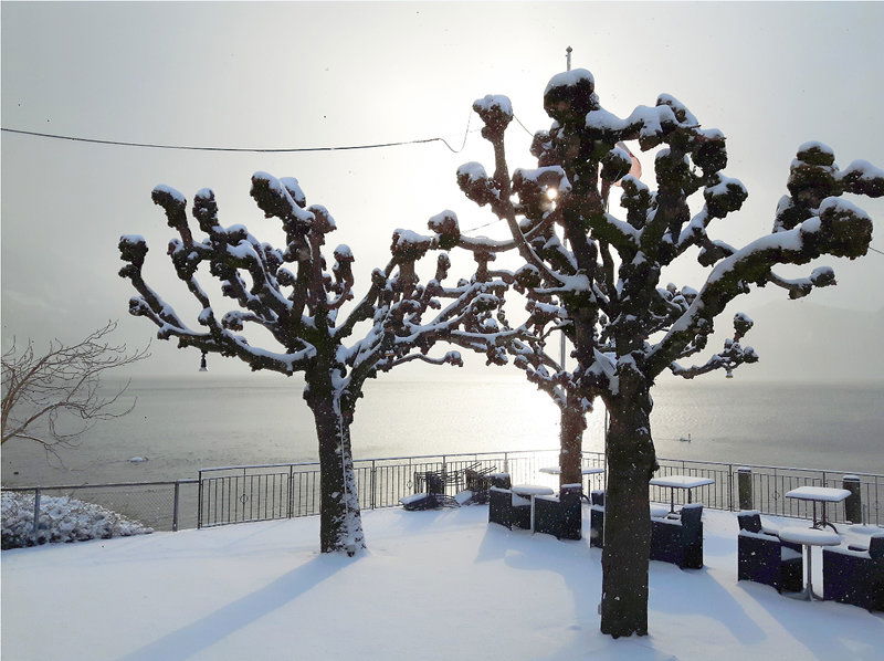 Hotel Central Am See Weggis