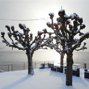 Hotel Central Am See Weggis cazare Weggis