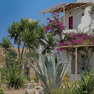 Sejur Ailouros Summer Hotel vacanta Naxos