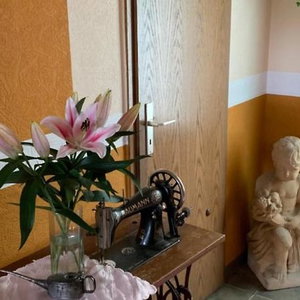 Hotel Pension Triebischtal cazare Meissen