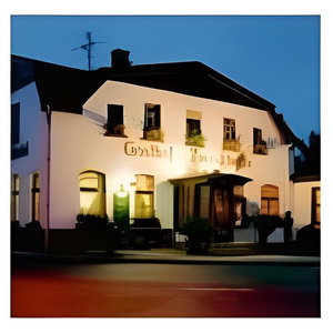 Hotel Land-Gut-Hotel Landhotel Plauen cazare Plauen