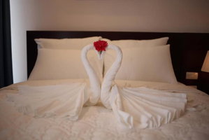 Hotel Camellia Hotel cazare Ninh Binh
