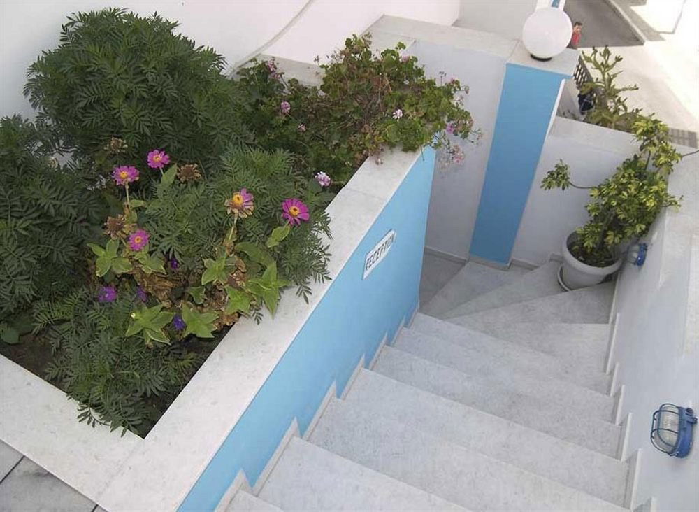 Hotel Katerina Roza Studios