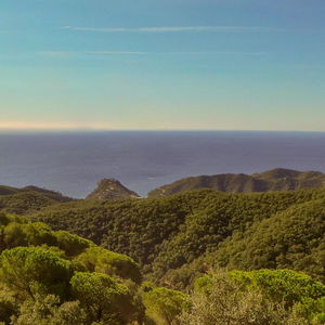 Sejur La Roqueta B&B vacanta Tossa del Mar