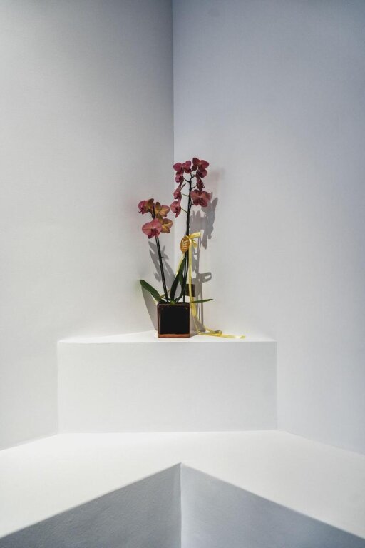 Hotel Impero Luxury Suites Nafplio