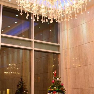 Hotel Asiatic Hotel cazare Flushing