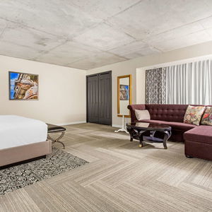 Hotel Cambria Hotel & Suites New Orleans Downtown Warehouse District cazare New Orleans