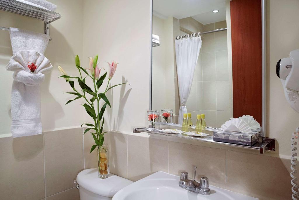 Hotel Comfort Inn Real San Miguel
