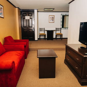 Hotel Plaza Hotel And Suites cazare San Salvador