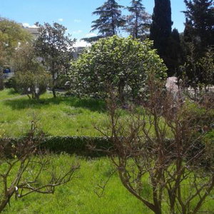 Hotel Guesthouse Lautasevic cazare Petrovac na Moru