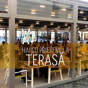 Hotel The Rabbit Hole cazare Sibiu