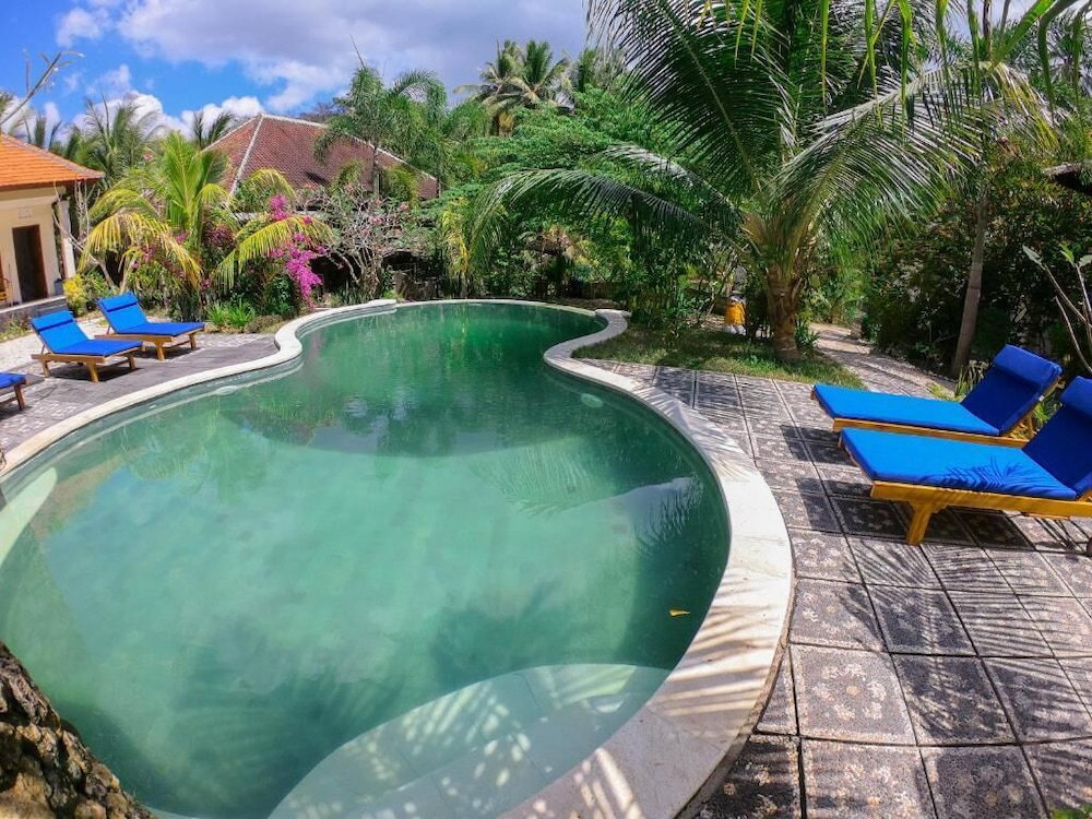 Tarzan Marriott On Penida