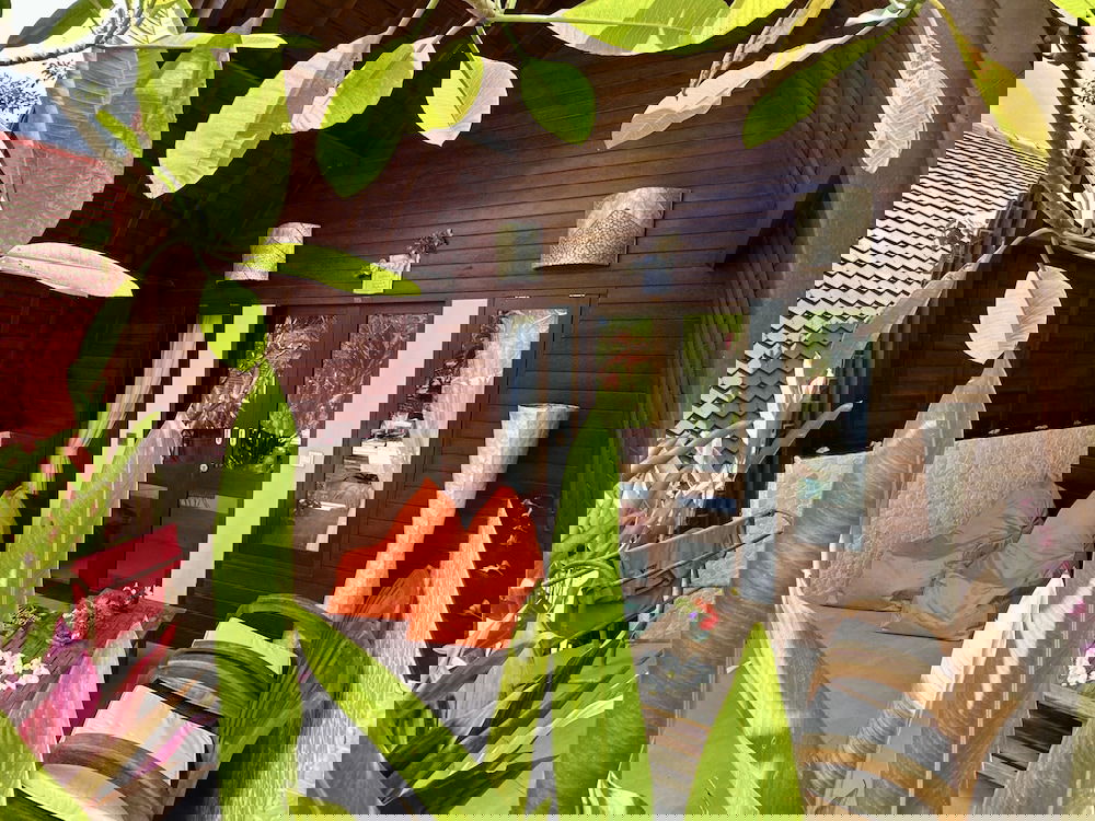 Hotel Jungle Paradise