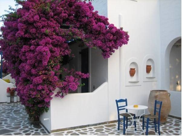 Hotel Angeliki'S Studios