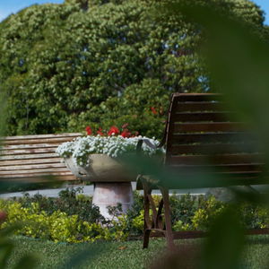 Hotel Surestay Hotel By Best Western The Clarence On Melville cazare Albany