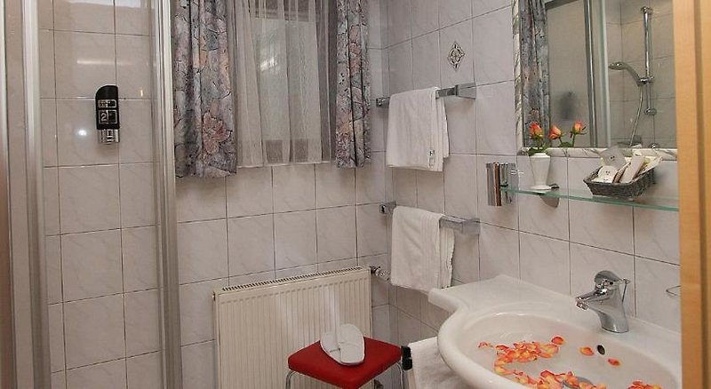 Hotel Alphotel Salner