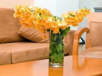 Hotel Kahlua Hotel Apartments