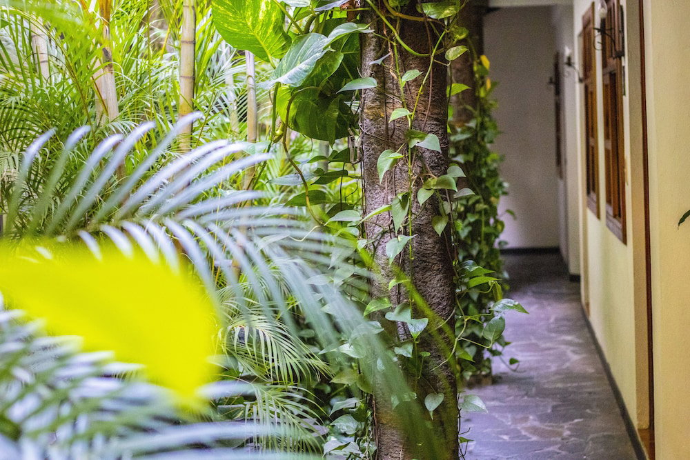 Ecohotel Arbol De Fuego