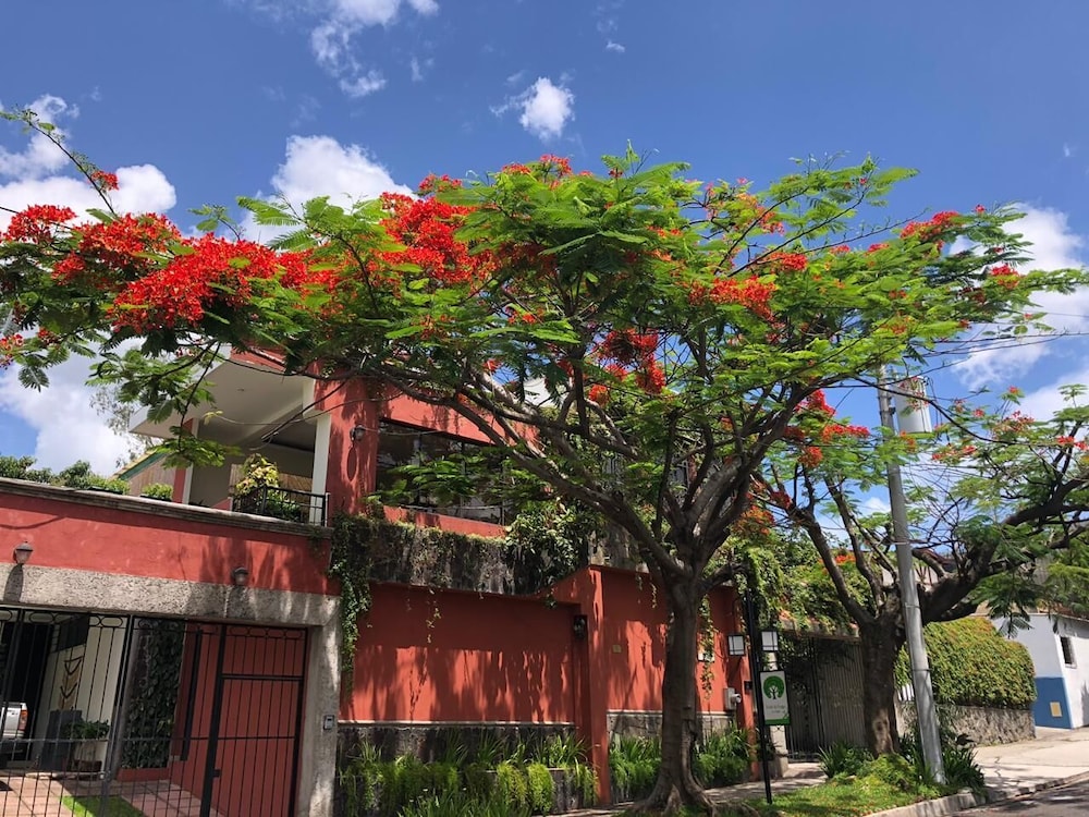Ecohotel Arbol De Fuego