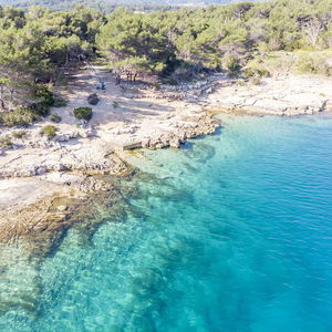 Hotel Apartments Vila Jelka cazare Hvar