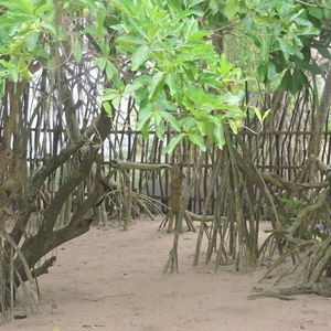 Hotel Akain Villa & Holiday Home cazare Hikkaduwa