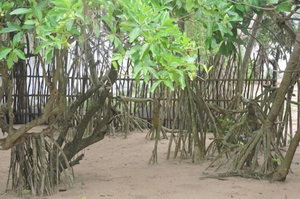 Hotel Akain Villa & Holiday Home cazare Hikkaduwa